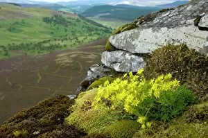 Images Dated 31st March 2012: Scottish landscape