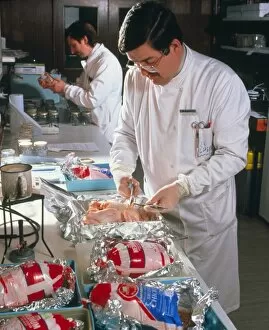 Images Dated 25th September 2002: Searching for bacteria in frozen food