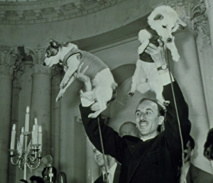 Second animals in space: Soviet space dogs Second animals in space: Soviet space dogs