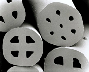 SEM of dacron polyester filling (Hollofil) SEM of dacron polyester filling (Hollofil)