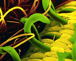 Images Dated 21st November 2002: SEM of a hooks and loops fastener