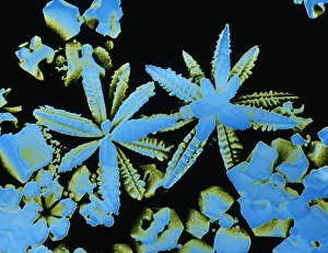 SEM of snow & ice crystals SEM of snow & ice crystals
