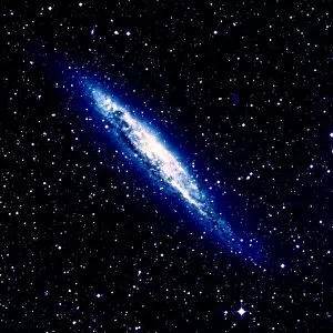 Images Dated 26th February 2001: Seyfert galaxy