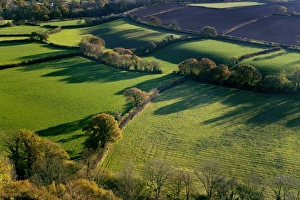 English Autumn Landscapes Prints: Shadows across fields, Devon, UK