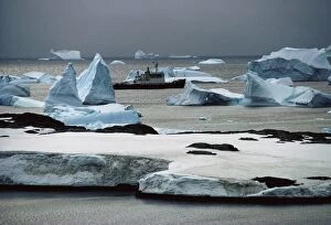 s hip RRs Brans field among icebergs