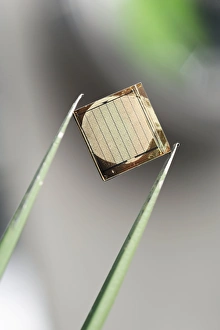 Silicon nanowire device, held by tweezers Silicon nanowire device, held by tweezers