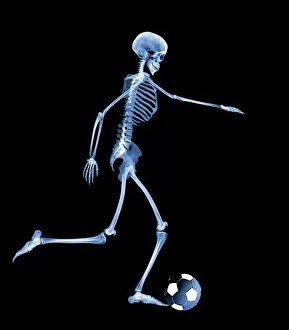 Images Dated 1st December 2006: Skeleton playing football