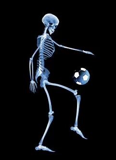 Computer Artwork Gallery: Skeleton playing football