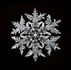 Images Dated 22nd October 1996: Snowflake