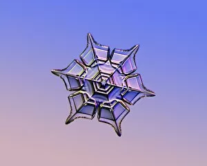 Unique Gallery: Snowflake, light micrograph