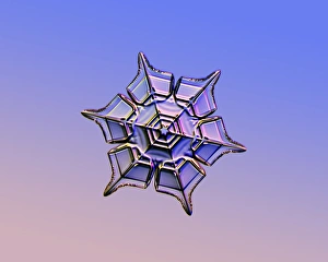 Snowflake, light micrograph Snowflake, light micrograph