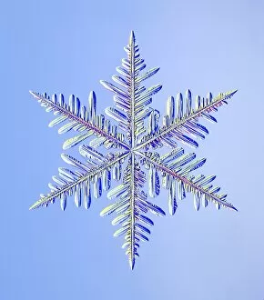 Images Dated 13th August 2009: Snowflake, light micrograph