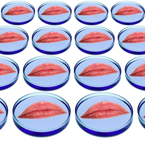 Images Dated 17th January 2005: Spare lips