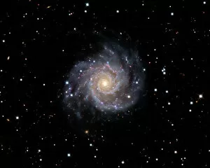 Images Dated 11th August 2009: Spiral galaxy M74