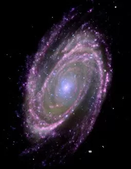 Astrophysics Collection: Spiral galaxy M81, composite image