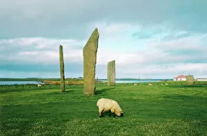 Images Dated 30th September 2004: Standing stones of Stenness, Orkney Islands