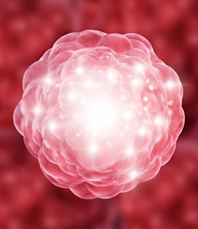 Differentiation Gallery: Stem cell, conceptual artwork