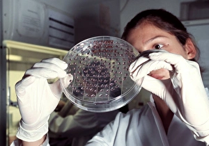 Differentiating Gallery: Stem cell culture