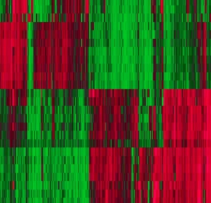 Stem Cell Gallery: Stem cell gene expression