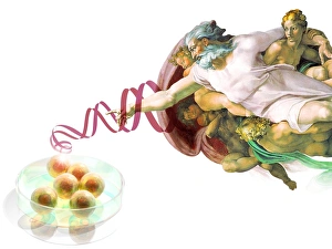 Stem Cell Gallery: Stem cells and God