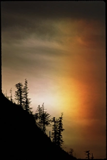 Images Dated 13th January 1993: Sundog
