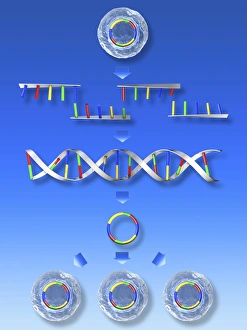 Synthetic cell creation, computer artwork Synthetic cell creation, computer artwork
