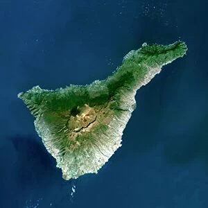 Mountain Collection: Tenerife, satellite image