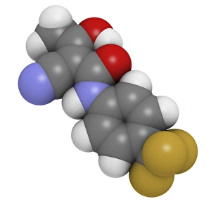 Biochemistry Gallery: Teriflunomide multiple sclerosis drug F007 / 0193