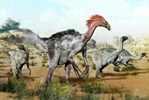 Therizinosaurus dinosuars