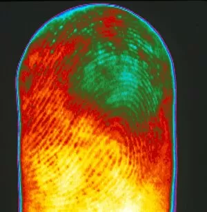 Images Dated 29th May 2002: Thermogram of a human finger