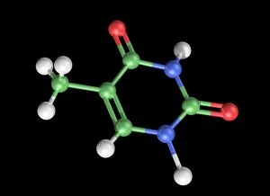 Thymine molecule, artwork C017/7366