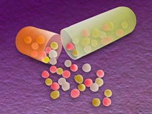 Time-release drug capsule, SEM Time-release drug capsule, SEM