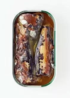 Tinned sardines