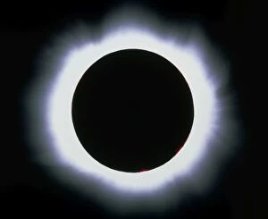 Images Dated 18th May 2005: Total solar eclipse, 1999