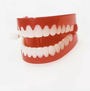 Dental Gallery: Toy teeth