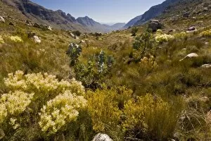 Cederberg Mountains Gallery: The Uitkyk pass, South Africa