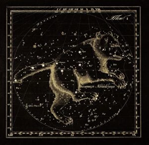 Images Dated 21st June 2013: Ursa Major constellation, 1829 C016 / 4387