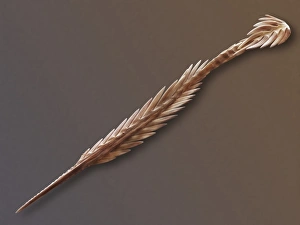 Urticating Hair of Tarantula Spider (SEM) Urticating Hair of Tarantula Spider (SEM)