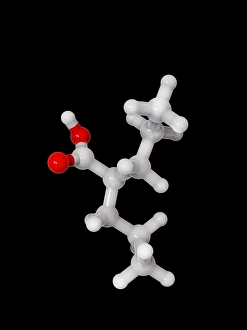 Biochemistry Gallery: Valproic acid anticonvulsant molecule C014 / 2296