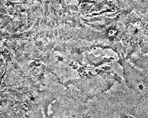 Robotic Gallery: Venera-15 radar image of Venus