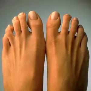 Images Dated 3rd February 1995: Top view of the healthy feet of a woman