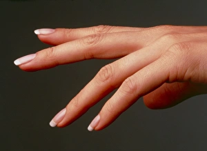 Side view of the healthy hand of a woman Side view of the healthy hand of a woman