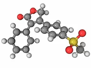 Images Dated 27th April 2011: Vioxx drug molecule