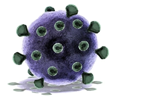 Microorganisms Gallery: Virus, artwork F007 / 8500