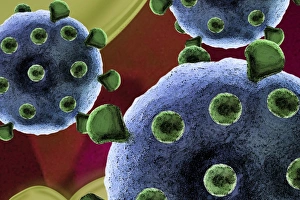 Microorganisms Gallery: Virus particles, artwork F007 / 8498