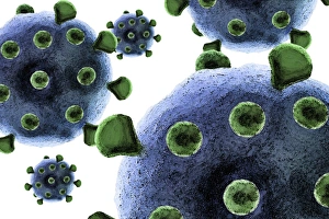 Microorganisms Gallery: Virus particles, artwork F007 / 8501
