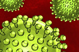 Microorganisms Gallery: Virus particles, artwork F007 / 8504