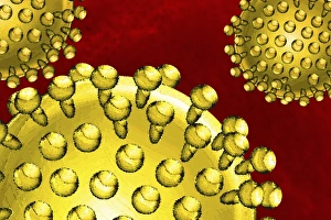Microorganisms Gallery: Virus particles, artwork F007 / 8505