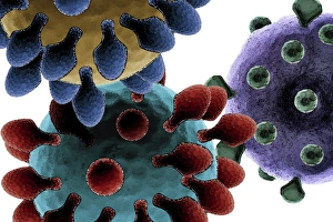Microorganisms Gallery: Virus particles, artwork F007 / 8507