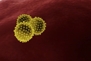 Microorganisms Gallery: Virus particles, artwork F007 / 8508